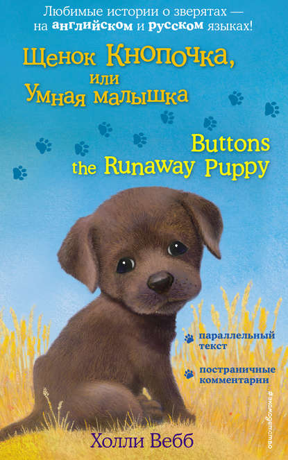 Щенок Кнопочка, или Умная малышка / Buttons the Runaway Puppy — Холли Вебб