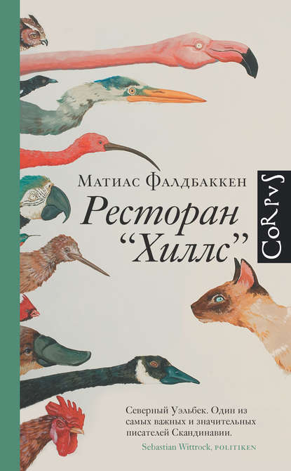 Ресторан «Хиллс» - Матиас Фалдбаккен