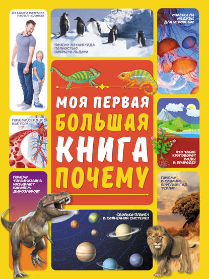 Моя первая большая книга ПОЧЕМУ - Д. И. Ермакович