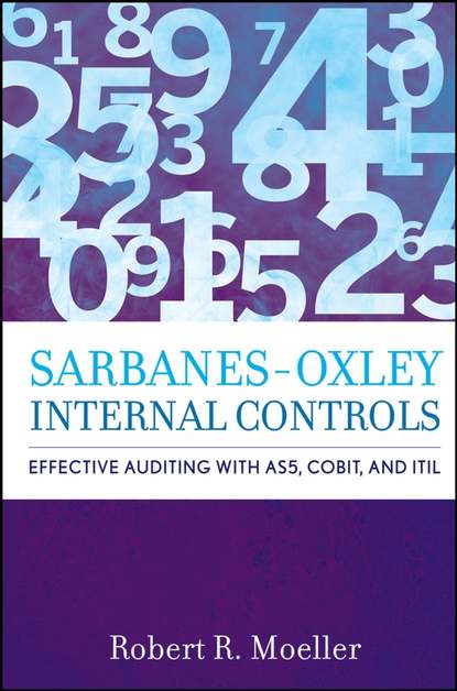 Sarbanes-Oxley Internal Controls - Группа авторов