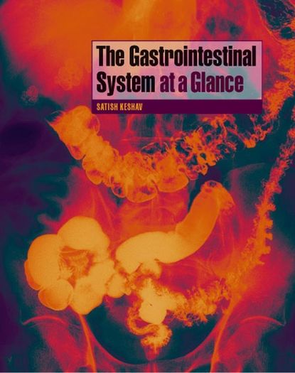 The Gastrointestinal System at a Glance — Группа авторов