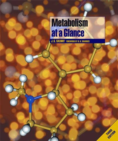 Metabolism at a Glance - Группа авторов