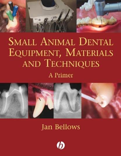 Small Animal Dental Equipment, Materials and Techniques — Группа авторов