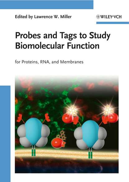 Probes and Tags to Study Biomolecular Function - Группа авторов