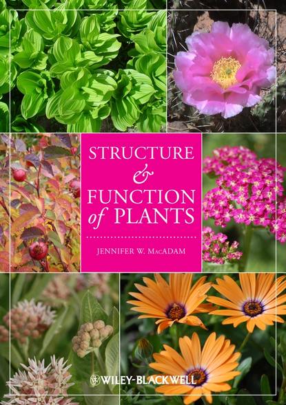 Structure and Function of Plants - Группа авторов