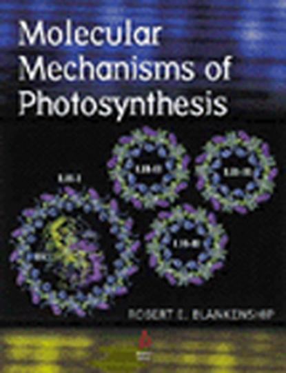 Molecular Mechanisms of Photosynthesis - Группа авторов