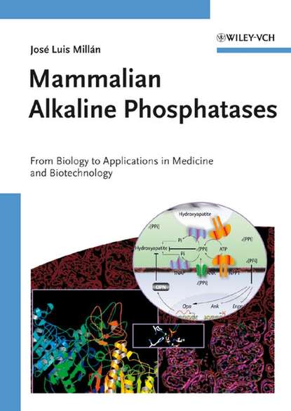 Mammalian Alkaline Phosphatases - Группа авторов