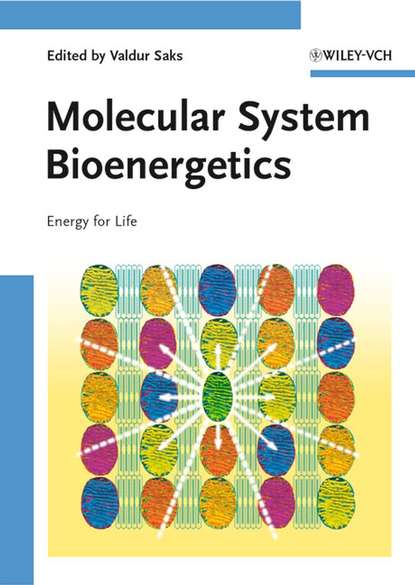 Molecular System Bioenergetics - Группа авторов