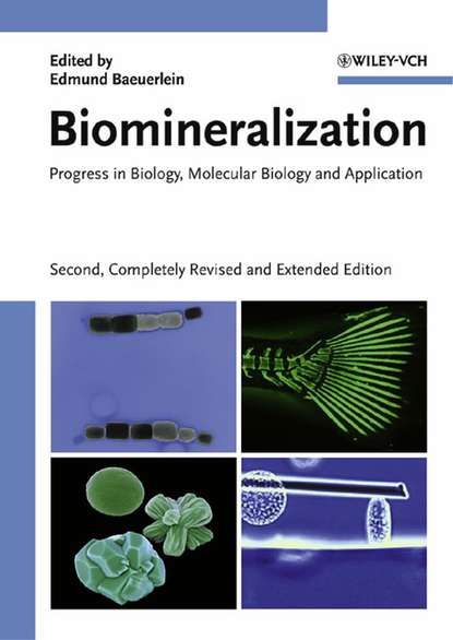 Biomineralization - Группа авторов