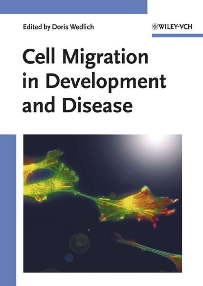 Cell Migration in Development and Disease - Группа авторов