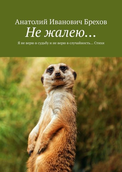 Не жалею… Я не верю в судьбу и не верю в случайность… Стихи - Анатолий Иванович Брехов