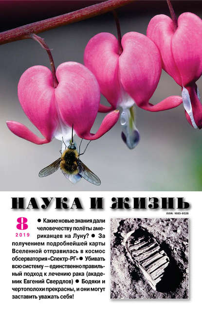 Наука и жизнь №08/2019 - Группа авторов