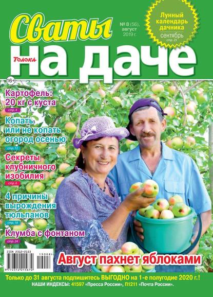 Сваты на Даче 08-2019 - Редакция журнала Сваты на Даче