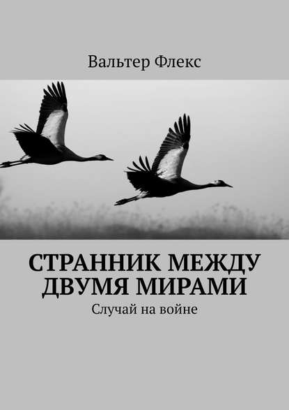 Странник между двумя мирами. Случай на войне - Вальтер Флекс