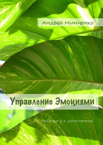 Управление эмоциями. Издание 2-е, дополненное - Андрей Николаевич Минченко