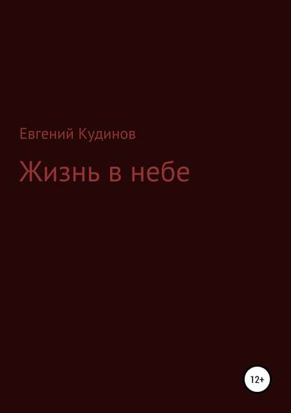 Жизнь в небе — Евгений Николаевич Кудинов