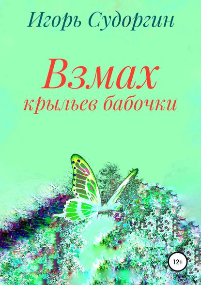 Взмах крыльев бабочки - Игорь Вячеславович Судоргин