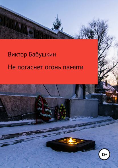 Не погаснет огонь Памяти - Виктор Евгеньевич Бабушкин