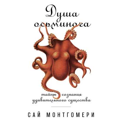 Душа осьминога: Тайны сознания удивительного существа - Сай Монтгомери