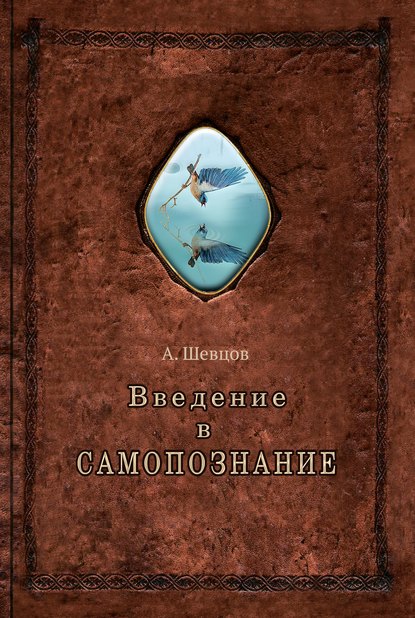 Введение в самопознание - Александр Шевцов (Андреев)