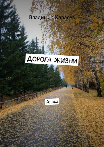 Дорога жизни. Кошка - Владимир Карасев