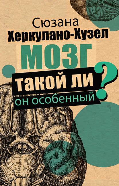 Мозг. Такой ли он особенный? — Сюзана Херкулано-Хузел