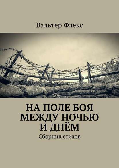 На поле боя между ночью и днём. Сборник стихов - Вальтер Флекс