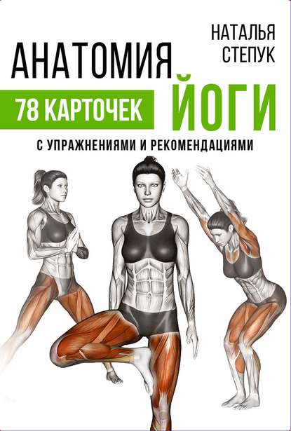 Анатомия йоги. 78 карточек с упражнениями и рекомендациями — Н. Г. Степук