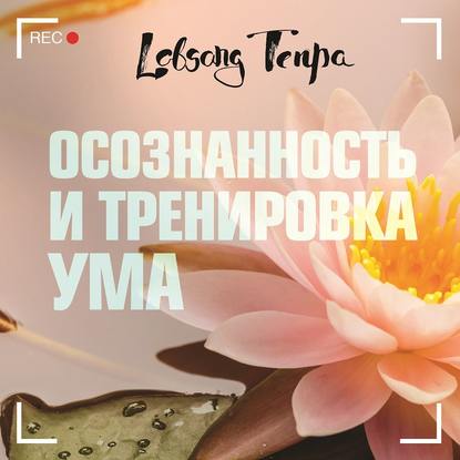 Осознанность и тренировка ума - Лобсанг Тенпа