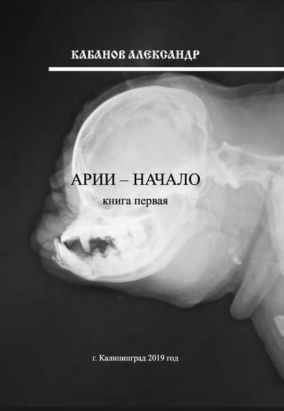 Арии – начало. Книга 1 - Александр Кабанов