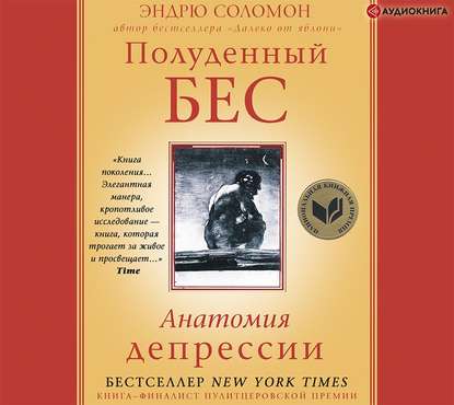 Полуденный бес. Анатомия депрессии - Эндрю Соломон