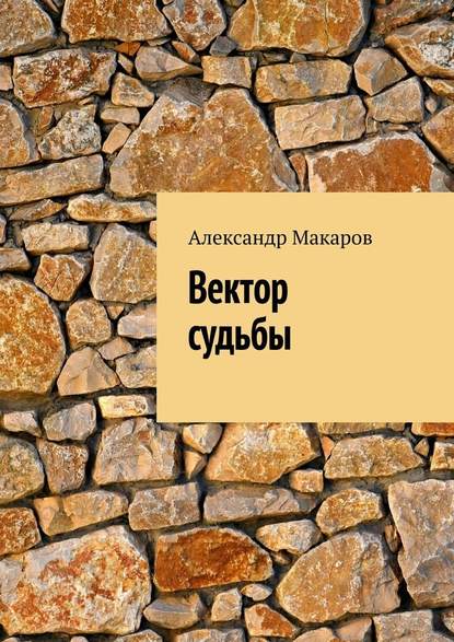 Вектор судьбы — Александр Макаров