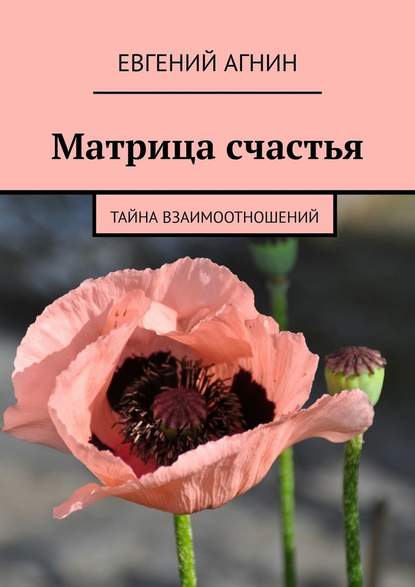 Матрица счастья. Тайна взаимоотношений - Евгений Агнин