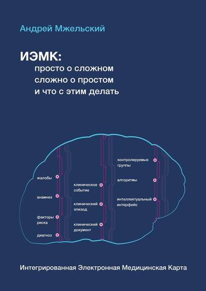 ИЭМК: просто о сложном, сложно о простом, и что с этим делать - Андрей Мжельский