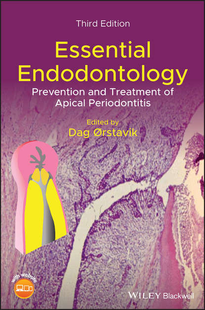 Essential Endodontology - Группа авторов