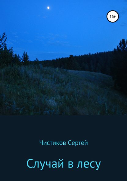 Случай в лесу - Сергей Чистиков