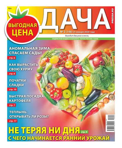 Дача Pressa.ru 02-2020 - Редакция газеты Дача Pressa.ru