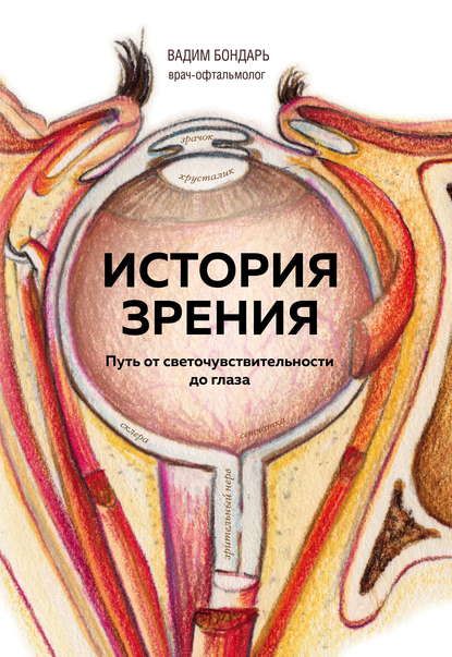 История зрения: путь от светочувствительности до глаза — Вадим Бондарь