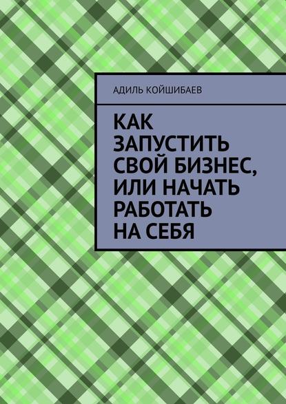 Как запустить свой бизнес, или Начать работать на себя — Адиль Койшибаев