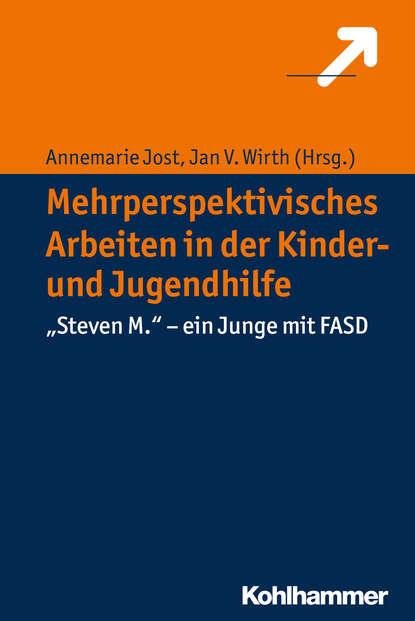 Mehrperspektivisches Arbeiten in der Kinder- und Jugendhilfe - Группа авторов