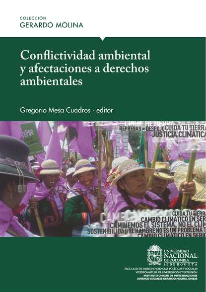 Conflictividad ambiental y afectaciones a derechos ambientales - Группа авторов