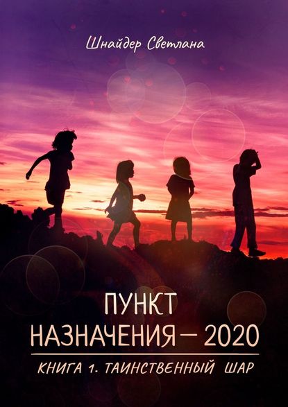 Пункт назначения – 2020. Книга 1. Таинственный шар - Светлана Шнайдер