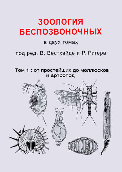 Зоология беспозвоночных. Том 1. От простейших до моллюсков и артропод - Коллектив авторов