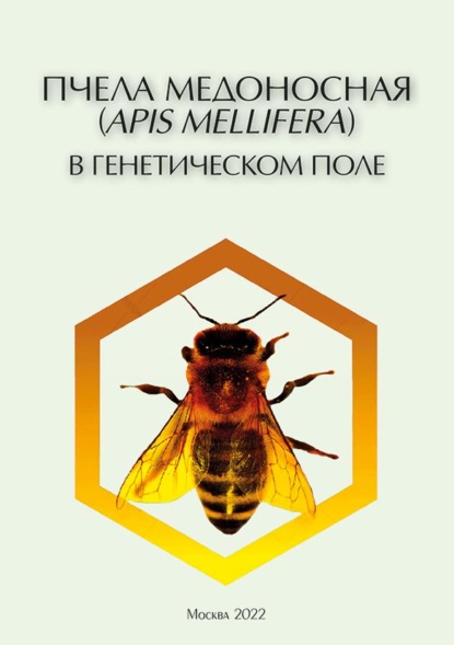 Пчела медоносная (Apis mellifera) в генетическом поле. Эколого-генетические характеристики (pdf+epub) - И. И. Горячева